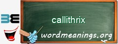 WordMeaning blackboard for callithrix